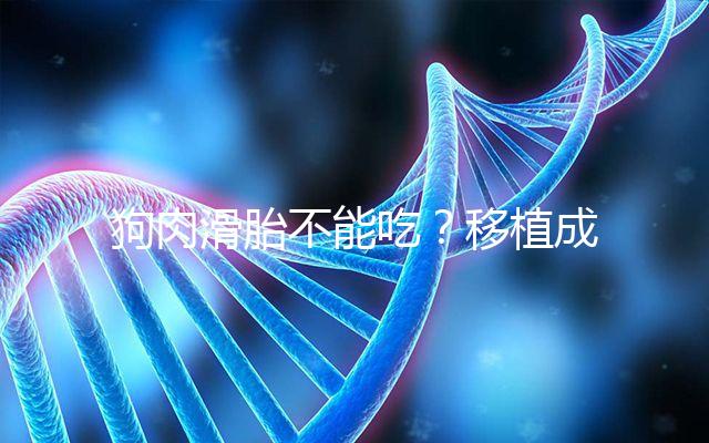 狗肉滑胎不能吃？移植成功后能不能吃狗肉答案看這里