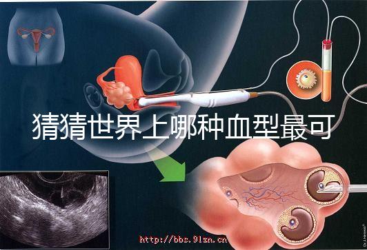 猜猜世界上哪種血型最可怕，史上超全排行榜為你揭曉答案
