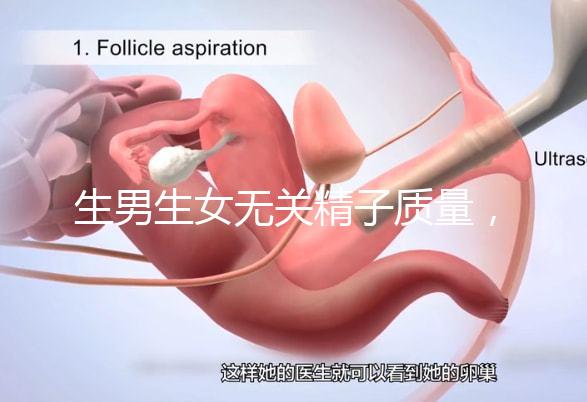 生男生女無(wú)關(guān)精子質(zhì)量,分享成功懷男孩的4個(gè)細(xì)節(jié)經(jīng)驗(yàn)