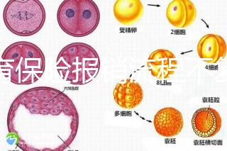 生育保險報銷流程不復雜，辦理地點不分地域異地可報銷