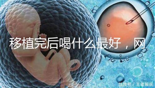 移植完后喝什么最好，網友推薦美味營養做法簡單大補湯