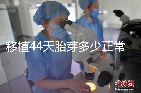 移植44天胎芽多少正常？胎芽長度和孕周對照表一覽