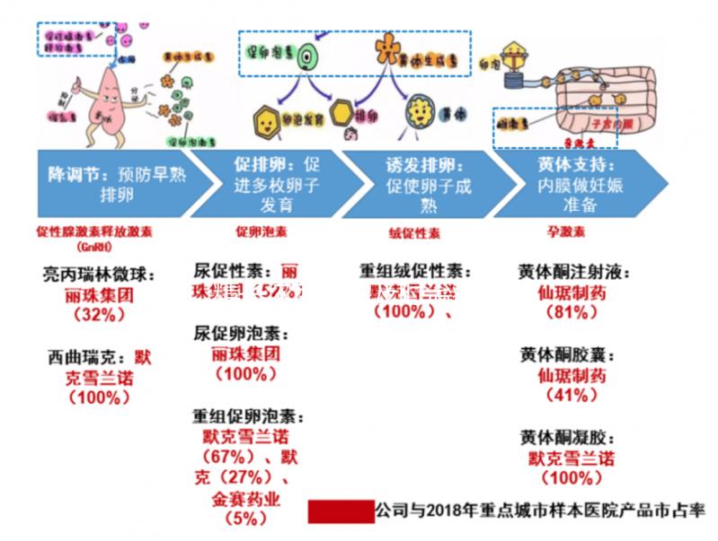 精子濃度高需及時治療，搭配飲食調理助你突破生育危機
