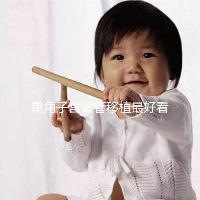 單角子宮試管移植最好看這個，兩個胚胎一目了然