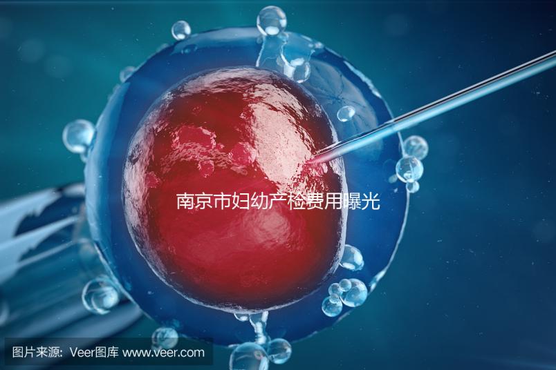 南京市婦幼產(chǎn)檢費(fèi)用曝光,附2024詳細(xì)掛號(hào)時(shí)間和流程