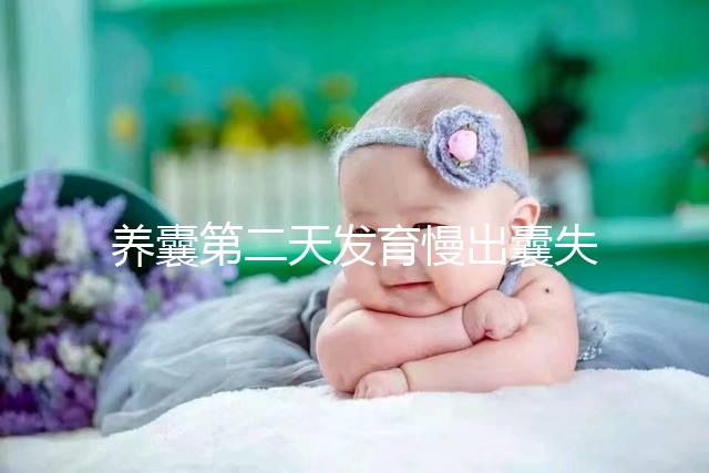 養(yǎng)囊第二天發(fā)育慢出囊失敗還有戲！前提：第三天繼續(xù)培育