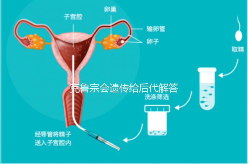 克魯宗會遺傳給后代解答嗎？他生來就有一篇清晰的文章嗎？