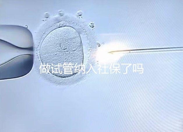 做試管納入社保了嗎