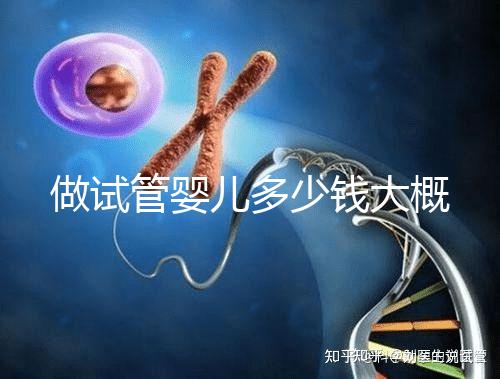 做試管嬰兒多少錢(qián)大概