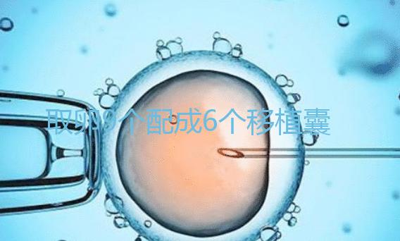 取卵9個配成6個移植囊胚成功率不高？專家：做三代試管夠了