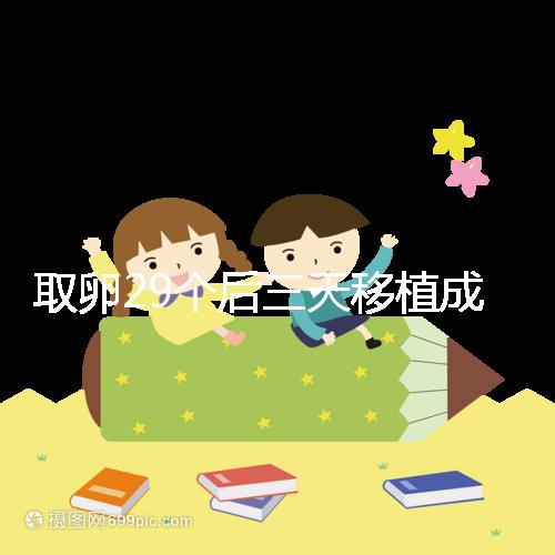 取卵29個后三天移植成功率真不高，養(yǎng)囊、冷凍才是正確選擇