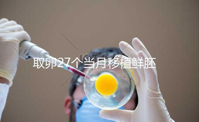 取卵27個當月移植鮮胚別想了，成功率低不說當心全軍覆沒