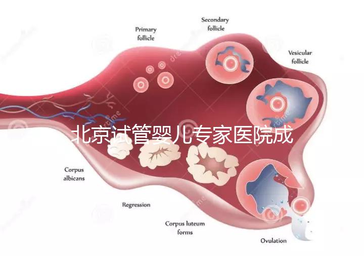 北京試管嬰兒專家醫(yī)院成功率高嗎，醫(yī)院推薦與費(fèi)用解析