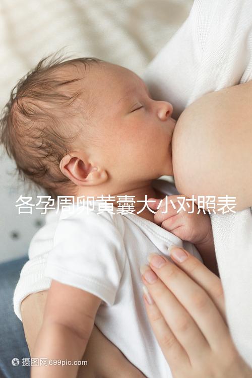 各孕周卵黃囊大小對照表，偏大、偏小都不正常