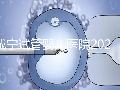 咸寧試管嬰兒醫(yī)院2024年成功率排名公開，哪家好一目了然