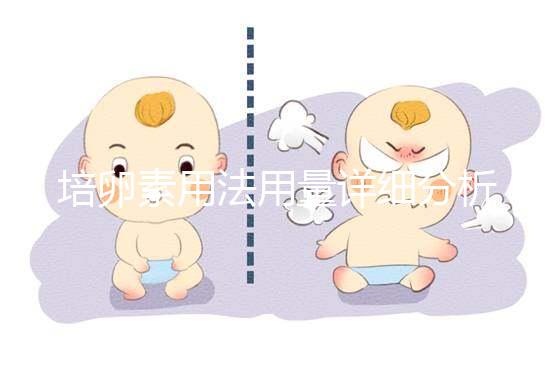 培卵素用法用量詳細分析,不同情況服用時間有差異