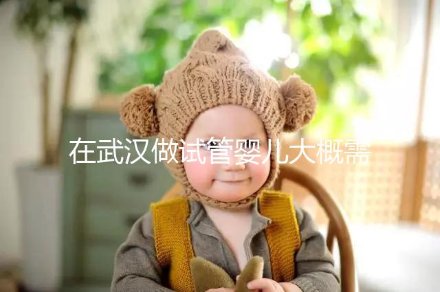 在武漢做試管嬰兒大概需要多少錢？武漢同濟(jì)醫(yī)院做試管可以選性別嗎？