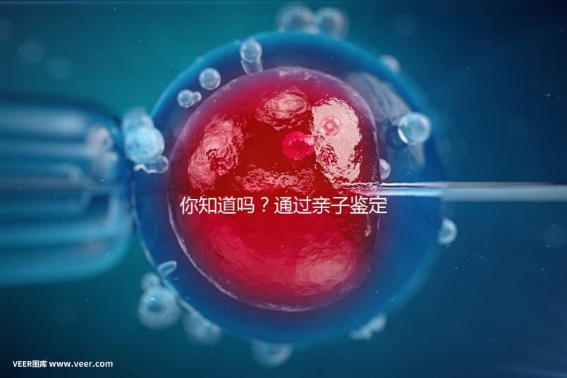 你知道嗎？通過(guò)親子鑒定補(bǔ)辦出生證也能給寶寶上戶口