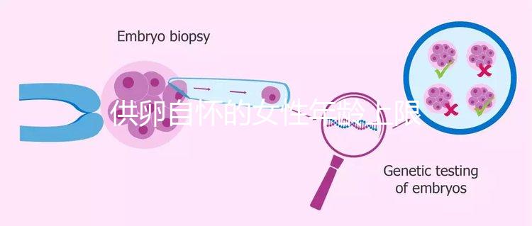 供卵自懷的女性年齡上限多大速覽,高齡警惕這些影響