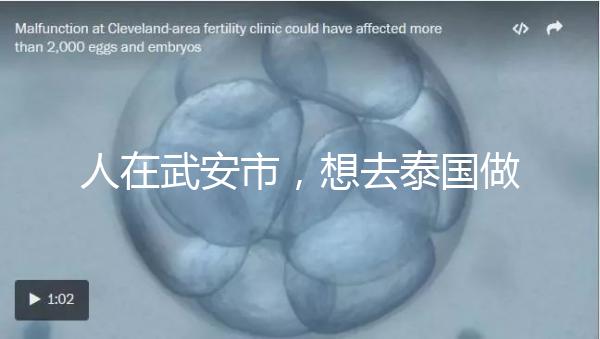 人在武安市，想去泰國(guó)做試管嬰兒生男孩要花多少錢？