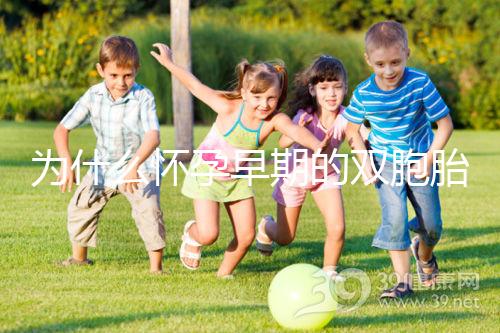 為什么懷孕早期的雙胞胎停止看,及時處理是首要任務