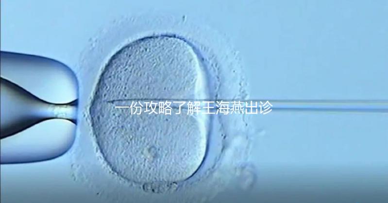 一份攻略了解王海燕出診表，讓你在北醫(yī)三院掛號(hào)更簡(jiǎn)單