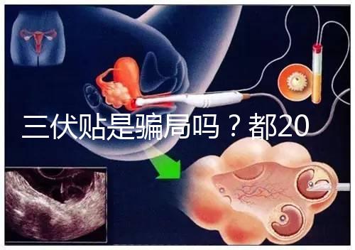 三伏貼是騙局嗎？都2024了，別人說它有害你還在深信不疑