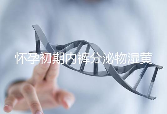 懷孕初期內(nèi)褲分泌物濕黃是男孩!5大原因為你揭開背后真相