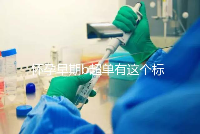 懷孕早期b超單有這個標(biāo)志一般是女孩,孕囊數(shù)據(jù)暗藏玄機(jī)