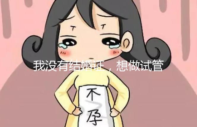 我沒有結(jié)婚證,想做試管嬰兒,可以做嗎