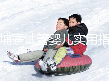 柬埔寨試管嬰兒實用指南：心中有“數(shù)”，造娃不慌