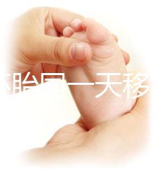 新鮮胚胎同一天移植的植入是否會有早晚，幾天三分鐘就能說清楚