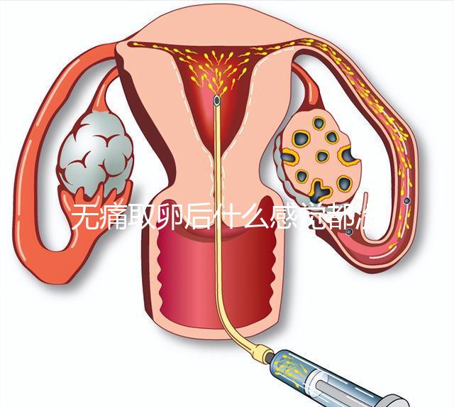 無痛取卵后什么感覺都沒有異常是謠言!只會出現(xiàn)一部分...