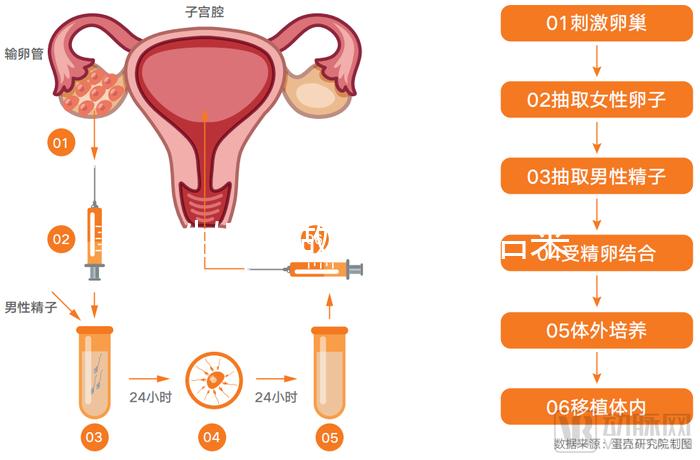 無性婚姻做試管嬰兒后來怎么樣?三個(gè)大案例揭開了內(nèi)幕