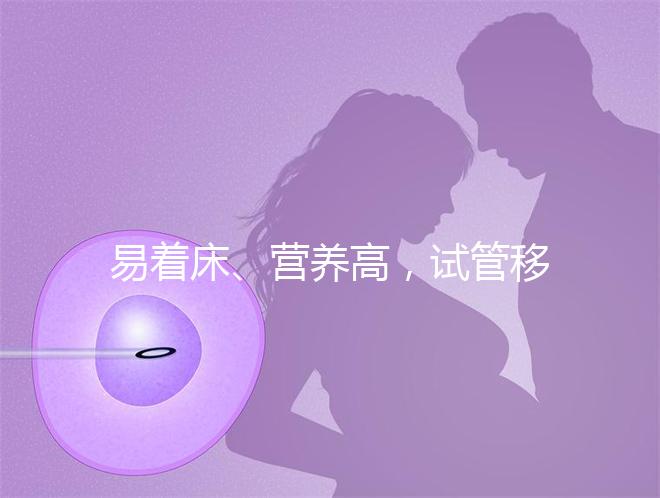 易著床、營養高,試管移植后吃獼猴桃的好處你不知道!