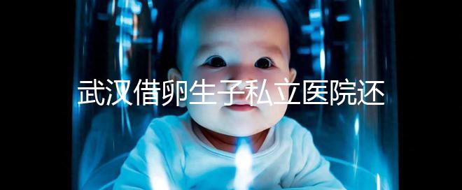 武漢借卵生子私立醫院還得看這幾家，協和、同濟醫院上榜