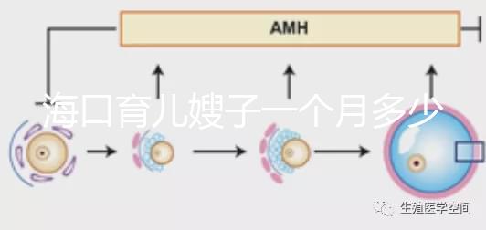 ?？谟齼荷┳右粋€月多少錢，哪個好答案總結，新手父母必須看