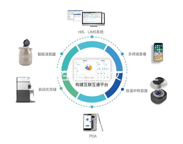 沒有性生活會讓女人月經(jīng)不調，提前衰老嗎？
