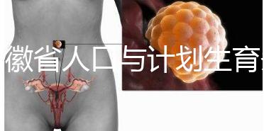 安徽省人口與計(jì)劃生育條例出臺(tái) 2024年產(chǎn)假被延長(zhǎng)