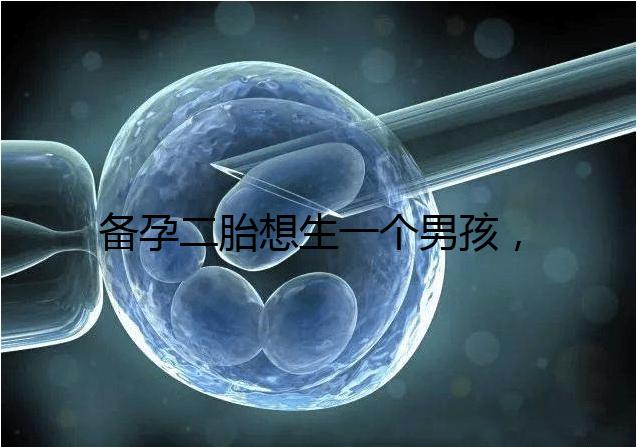 備孕二胎想生一個男孩，在鞏義市能做試管嬰兒嗎？