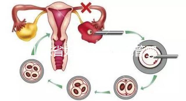 山東省婦幼保健院試管嬰兒怎么樣，新版助孕成功率數據公布