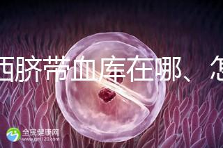 山西臍帶血庫在哪、怎么保存答案在這，太原存20年費(fèi)用竟…