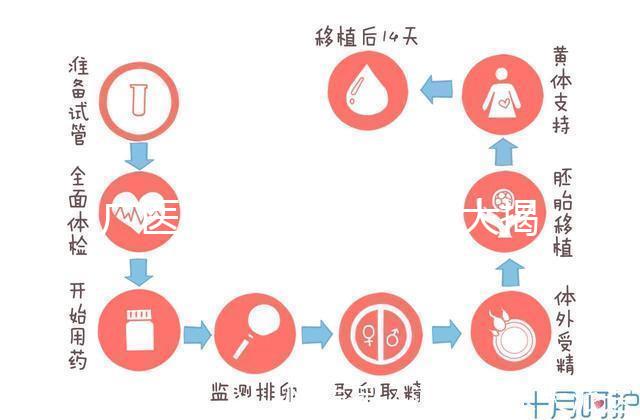 廣醫(yī)三院取精多少錢大揭秘，一萬都包括什么速看
