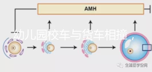 幼兒園校車與貨車相撞，乘坐校車要告訴寶寶注意事項！