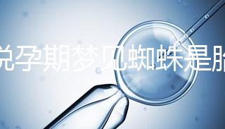 都說(shuō)孕期夢(mèng)見(jiàn)蜘蛛是胎夢(mèng),咬人、爬身上意思都不同快收藏