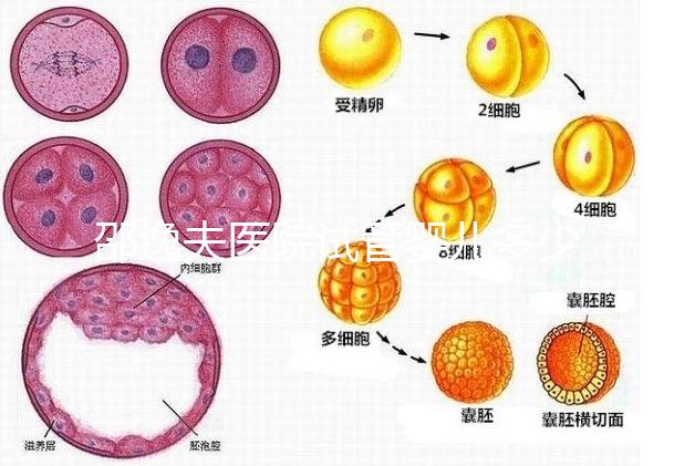 邵逸夫醫(yī)院試管嬰兒多少錢(qián)?全部費(fèi)用明細(xì)為你一一列出