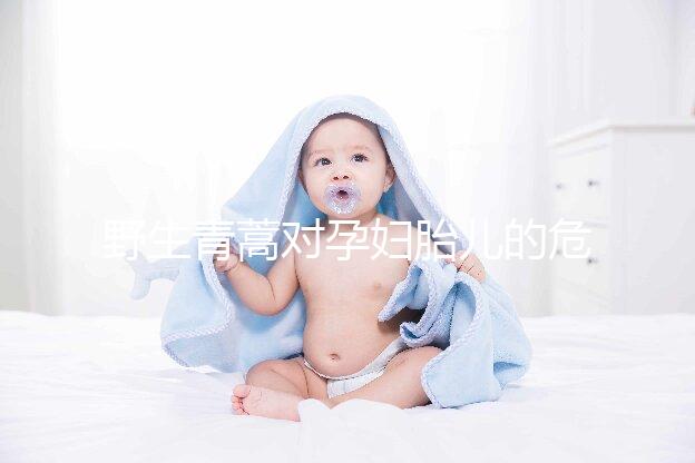 野生青蒿對孕婦胎兒的危害多，能否泡腳、洗澡看這里