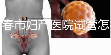 長(zhǎng)春市婦產(chǎn)醫(yī)院試管怎樣問(wèn)題解答，助孕成功率、費(fèi)用可作參考