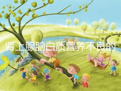 腎上腺腦白質營養不良的遺傳概率，如何避免遺傳？