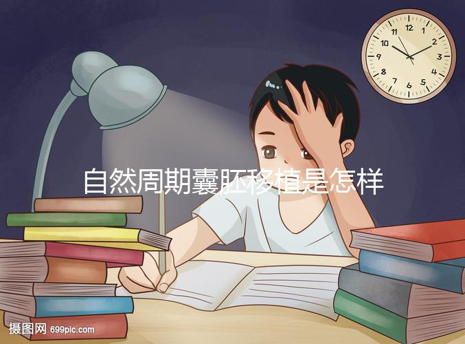 自然周期囊胚移植是怎樣的？5個步驟囊括所有流程